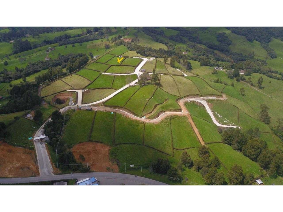 VENDO LOTE EN SAN PEDRO DE LOS MILAGROS ANTIOQUIA — foto 5