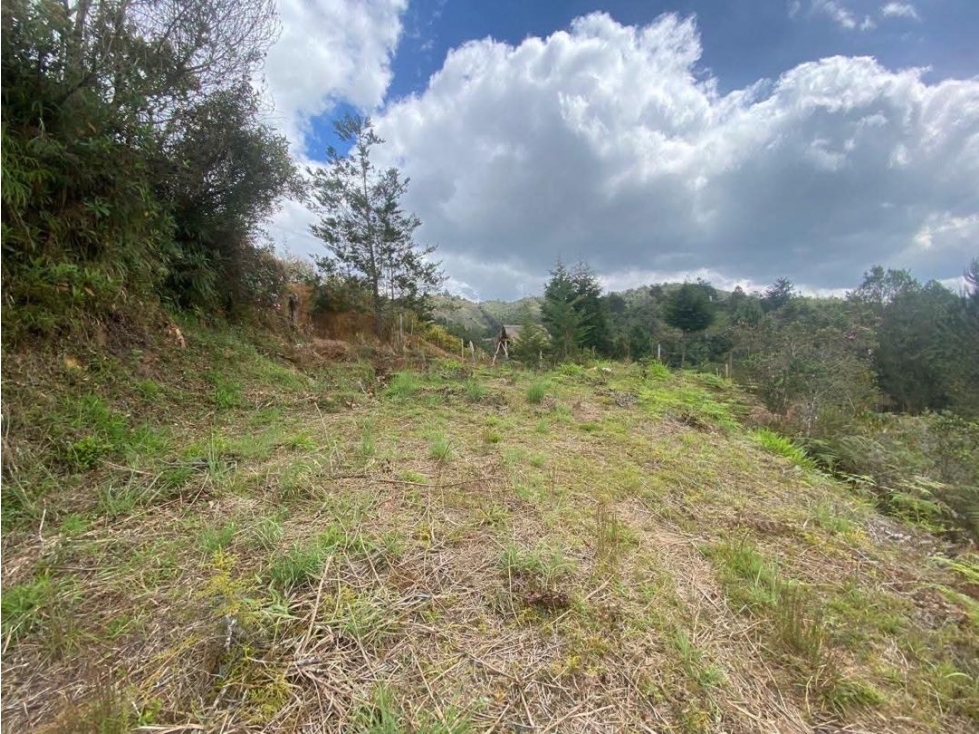Vendo Lote En San Vicente De Ferrer Antioquia $268M
