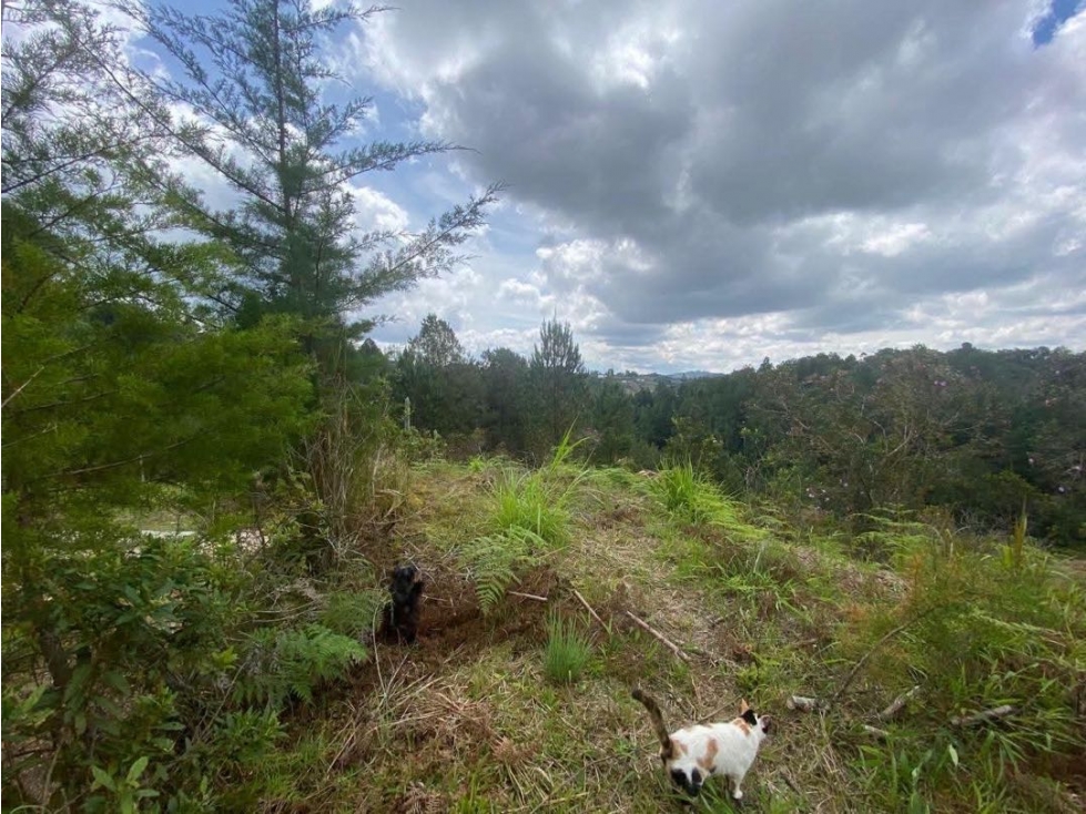 Vendo Lote En San Vicente De Ferrer Antioquia $268M — foto 2