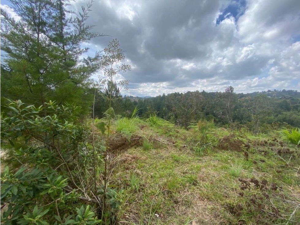 Vendo Lote En San Vicente De Ferrer Antioquia $268M — foto 3