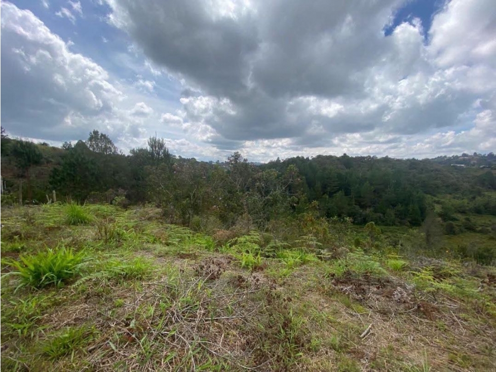Vendo Lote En San Vicente De Ferrer Antioquia $268M — foto 4
