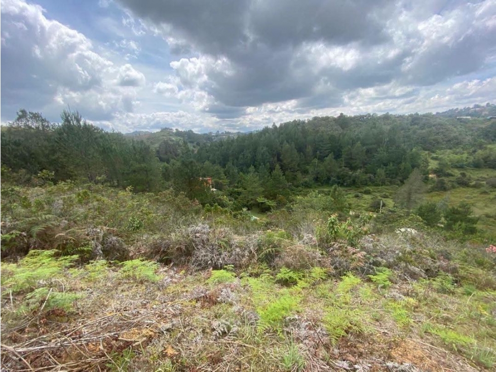 Vendo Lote En San Vicente De Ferrer Antioquia $268M — foto 5