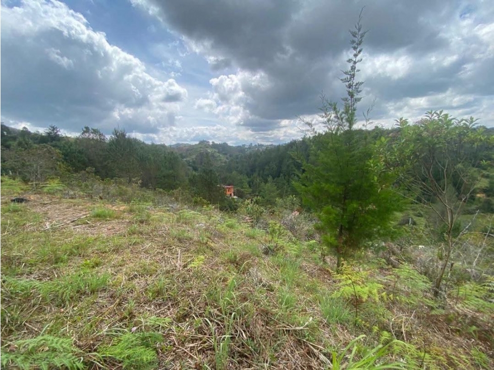 Vendo Lote En San Vicente De Ferrer Antioquia $268M — foto 6
