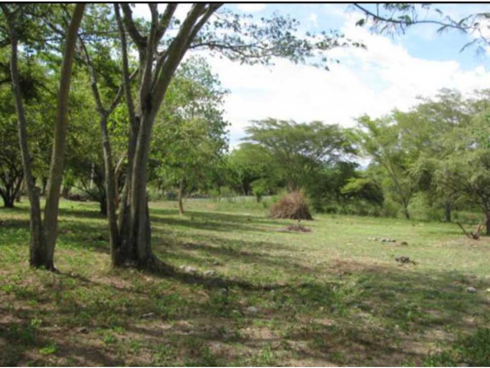 Vendo lote en santa fe de antioquia - 3