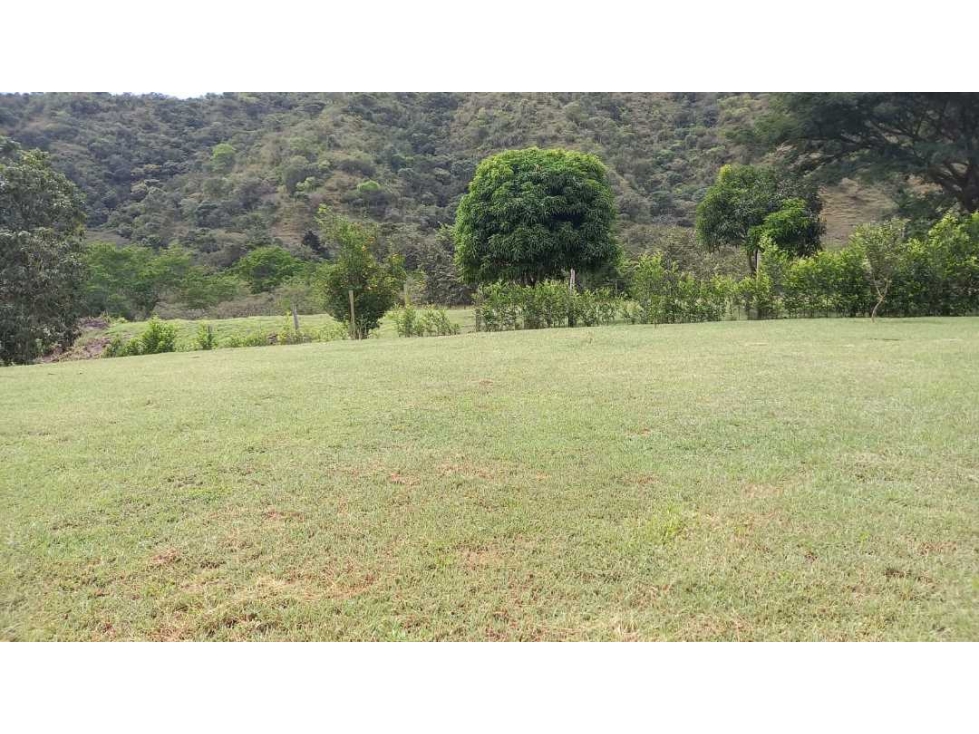 Vendo lote en santa fe de antioquia - 4