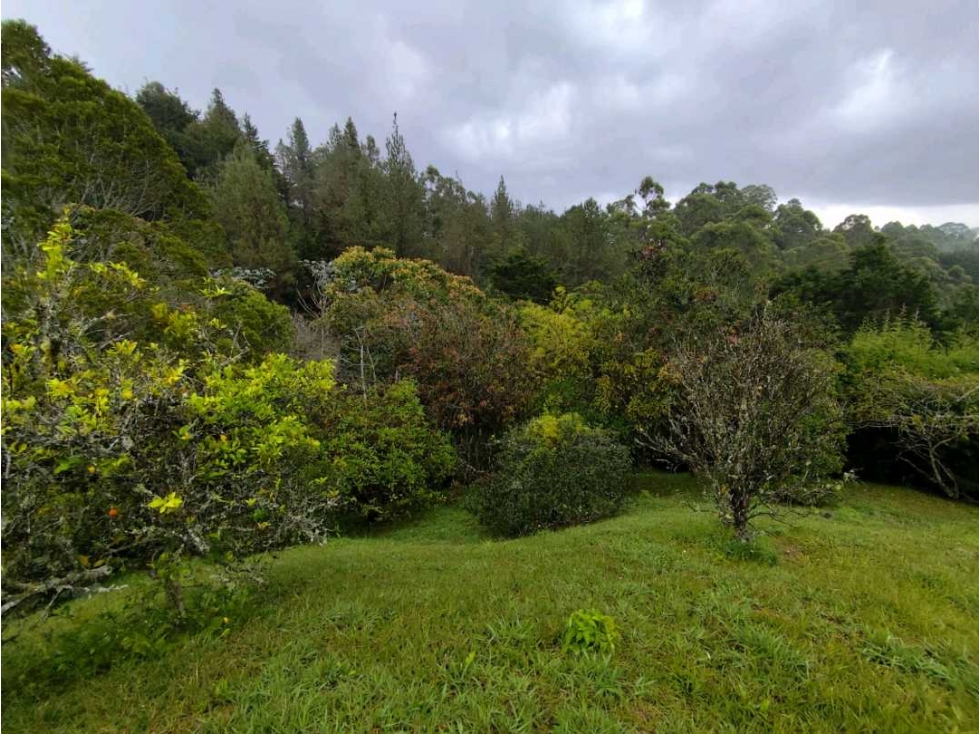 Vendo lote en unidad cerrada frente al aeropuerto JMC — foto 4
