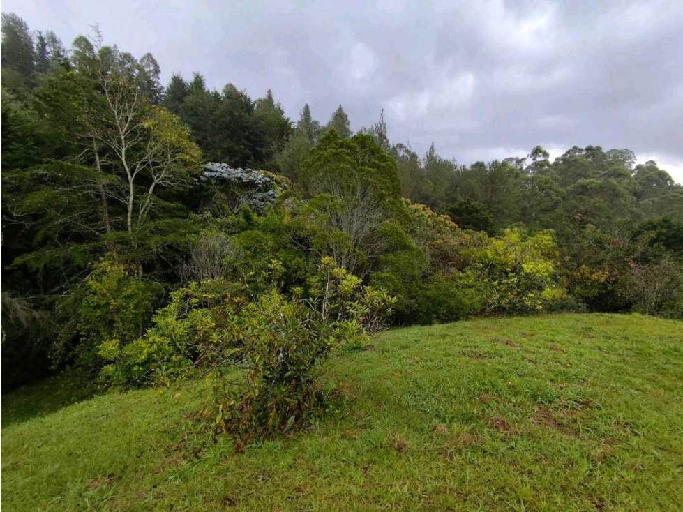 Vendo lote en unidad cerrada frente al aeropuerto JMC — foto 5