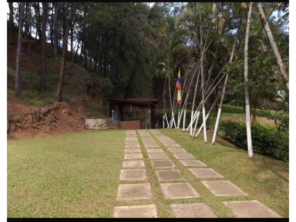 Vendo lote en santander de quilinchao unidad cerrada campestre - 3