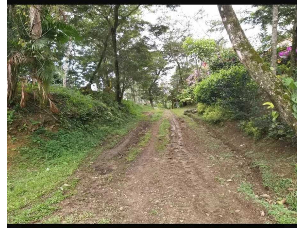 Vendo lote en santander de quilinchao unidad cerrada campestre - 5