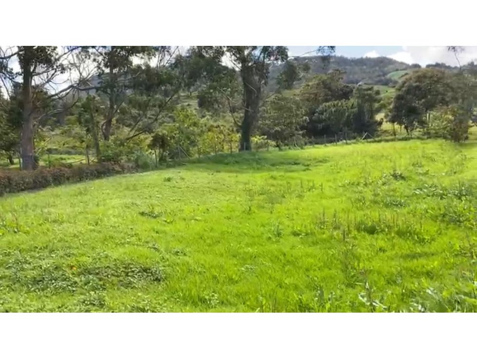 VENDO LOTE EN VALLE DEL ÉSTE VIA LA CEJA SAN ANTONIO — foto 4
