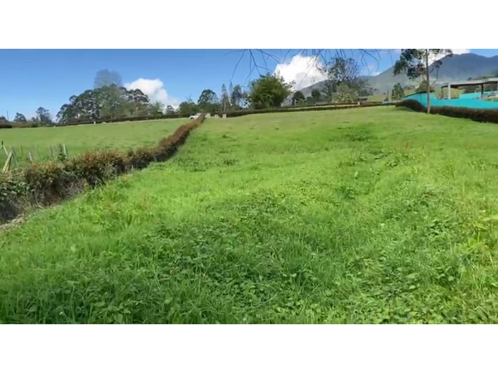 VENDO LOTE EN VALLE DEL ÉSTE VIA LA CEJA SAN ANTONIO — foto 5