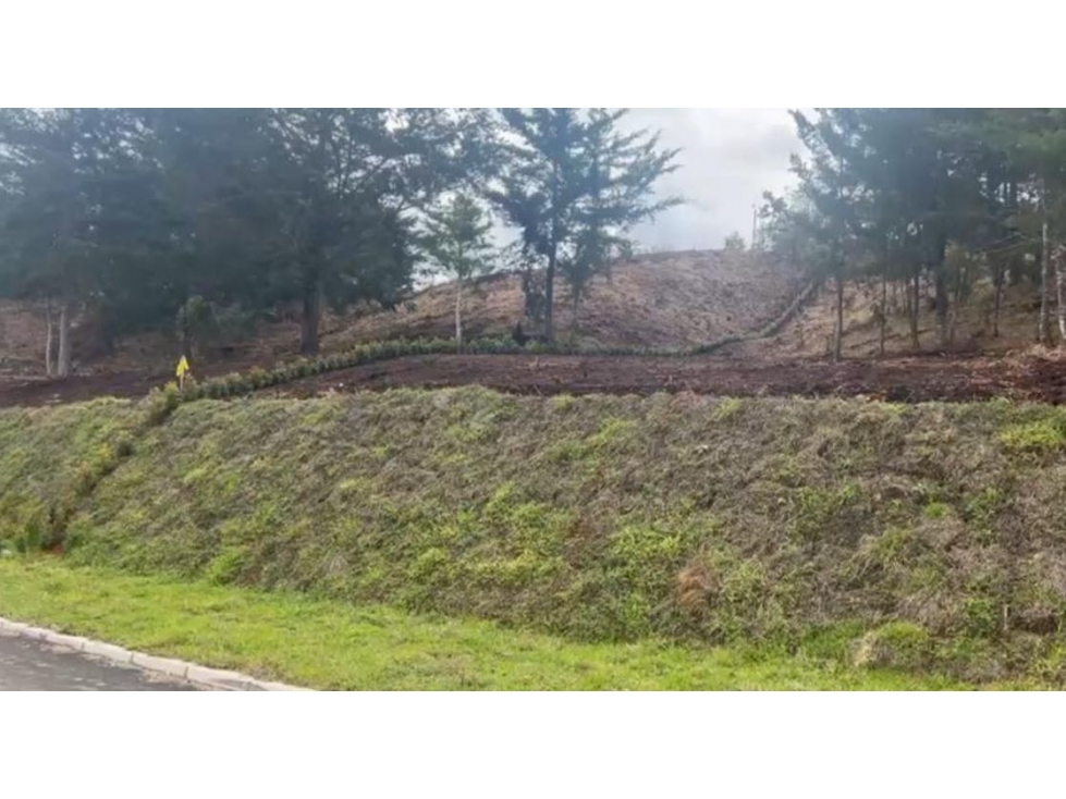 VENDO LOTE EN VERDE CAMPIÑA EN LA VIA LA CEJA SAN ANTONIO — foto 2