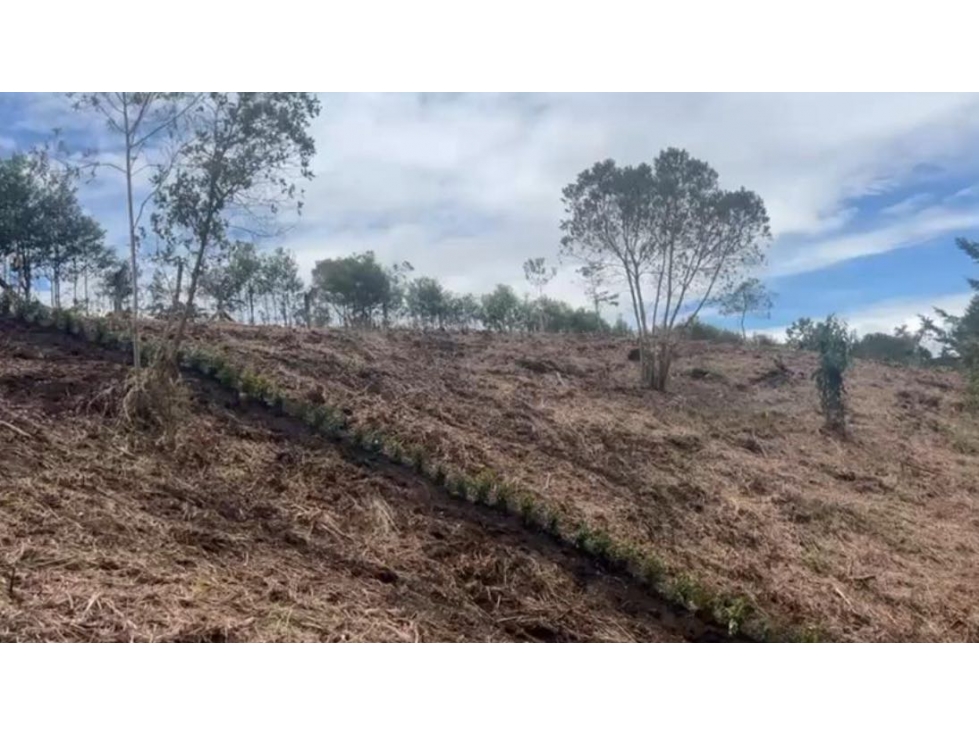 VENDO LOTE EN VERDE CAMPIÑA EN LA VIA LA CEJA SAN ANTONIO — foto 3