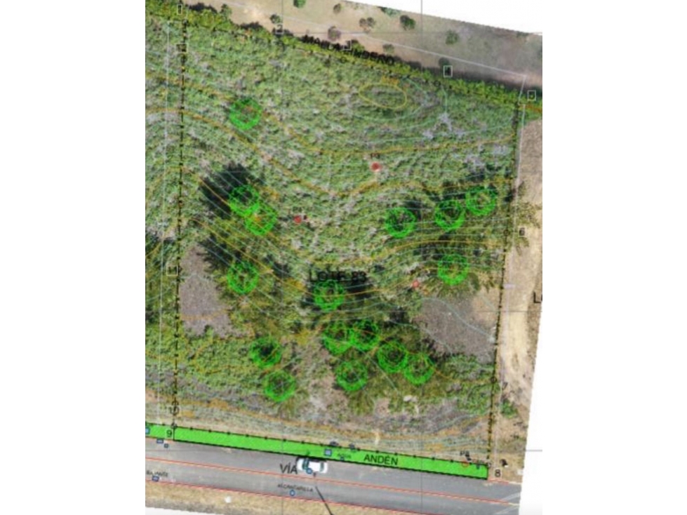 VENDO LOTE EN VERDE CAMPIÑA EN LA VIA LA CEJA SAN ANTONIO — foto 5