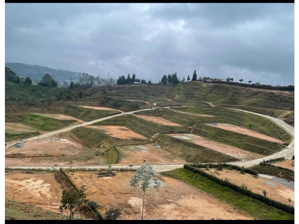 VENDO LOTE GUARNE ANTIOQUIA VEREDA LA MOSQUITA — foto 6