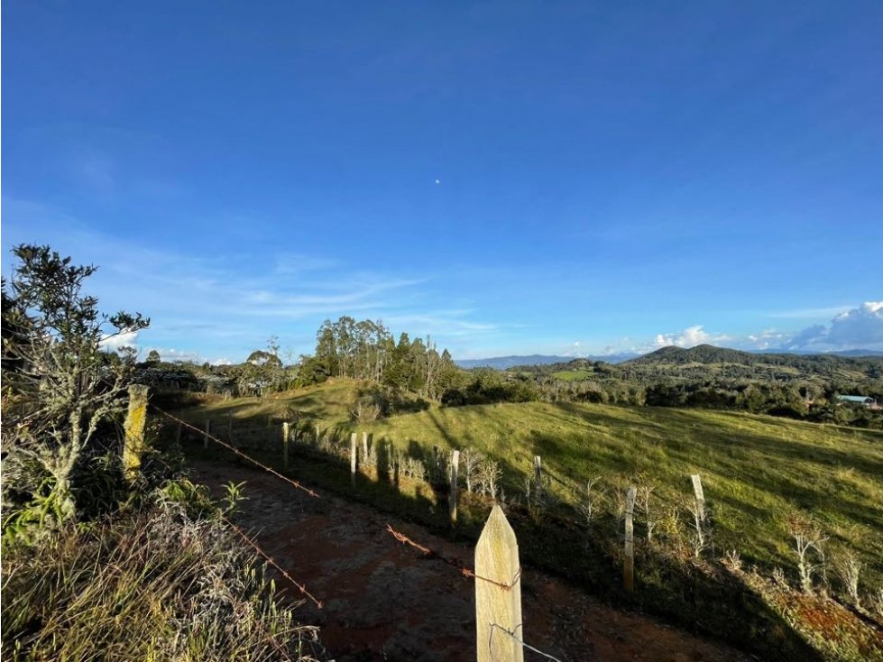 VENDO LOTE INDEPENDIENTE EN EL ALTO DE LAS PALMAS PANTANILLO, ENVIGADO