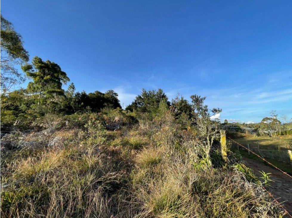 VENDO LOTE INDEPENDIENTE EN EL ALTO DE LAS PALMAS PANTANILLO, ENVIGADO — foto 3