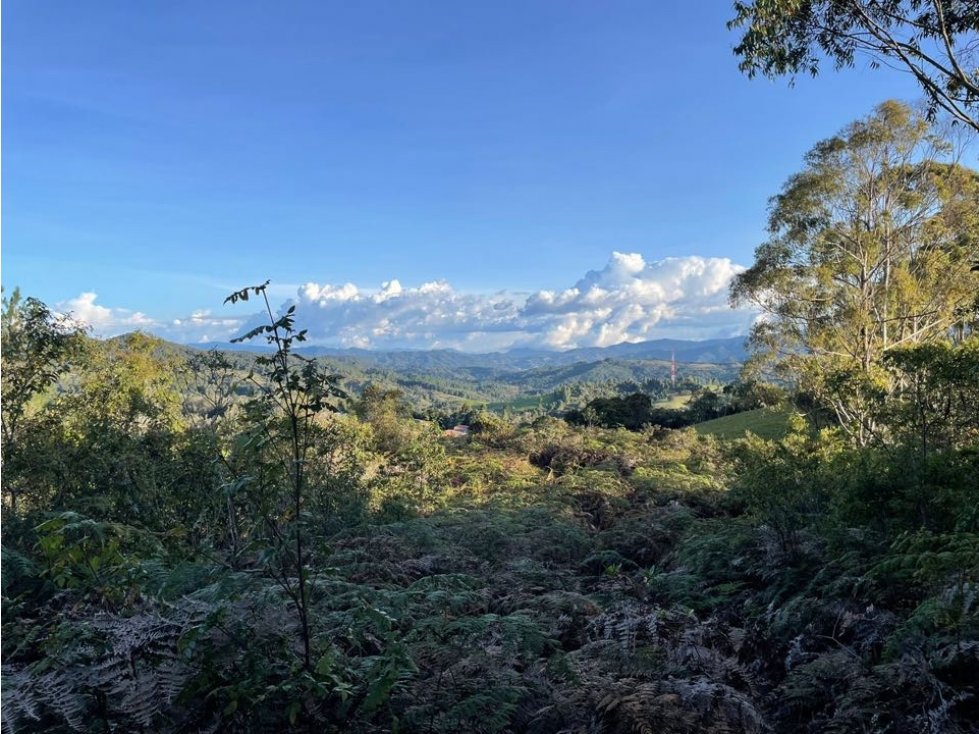 VENDO LOTE INDEPENDIENTE EN EL ALTO DE LAS PALMAS PANTANILLO, ENVIGADO — foto 4