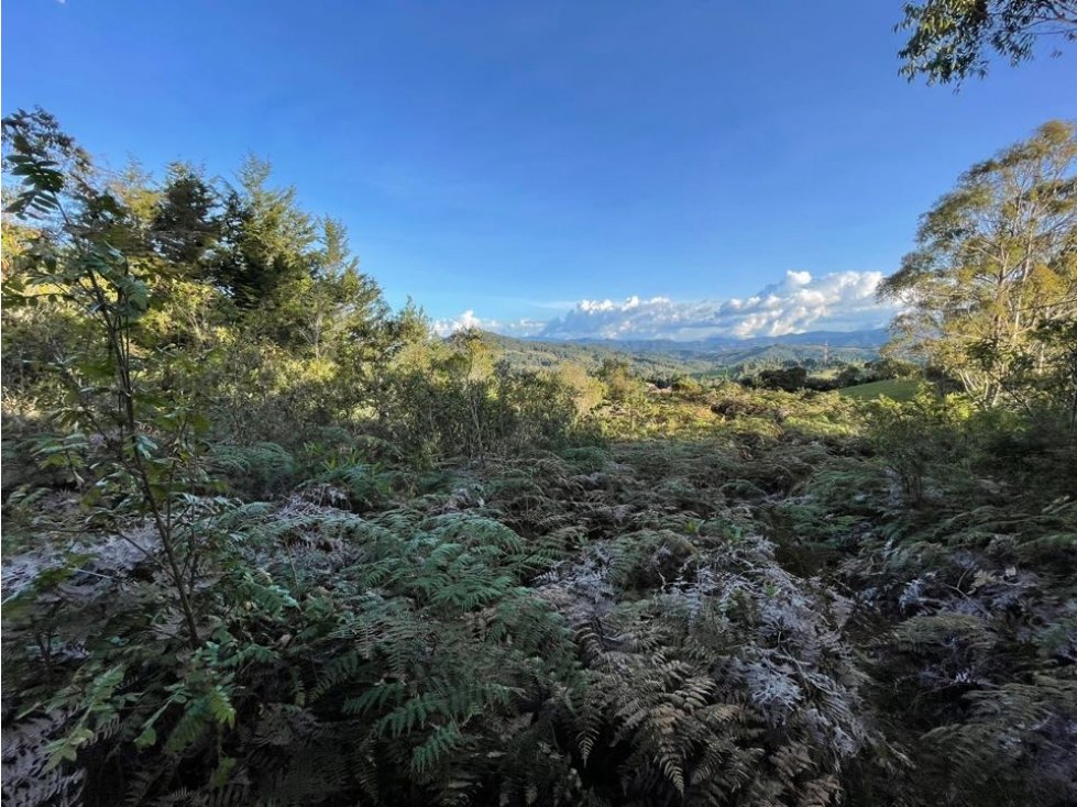 VENDO LOTE INDEPENDIENTE EN EL ALTO DE LAS PALMAS PANTANILLO, ENVIGADO — foto 5