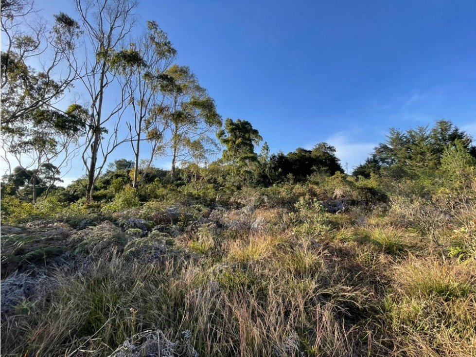 VENDO LOTE INDEPENDIENTE EN EL ALTO DE LAS PALMAS PANTANILLO, ENVIGADO — foto 6