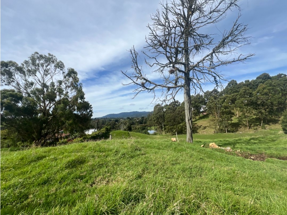 VENDO LOTE INDEPENDIENTE EN LA ACUARELA ALTO DE LAS PALMAS — foto 3