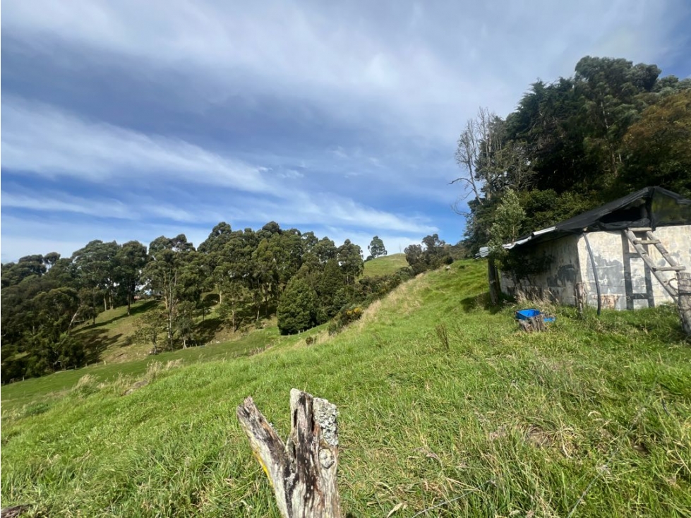 VENDO LOTE INDEPENDIENTE EN LA ACUARELA ALTO DE LAS PALMAS — foto 5