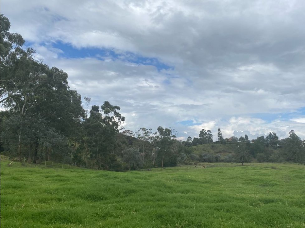VENDO LOTE INDEPENDIENTE EN PONTEZUELA RIONEGRO