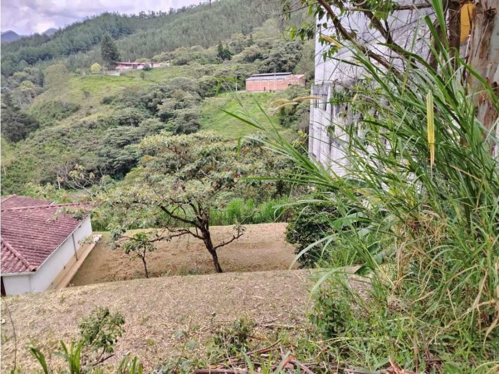 VENDO LOTE INDUSTRIAL EN CALDAS SUPER PUNTO PARA BODEGA - 4