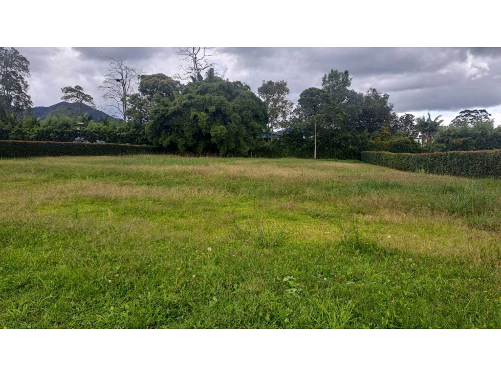 VENDO LOTE LA CEJA ANTIOQUIA