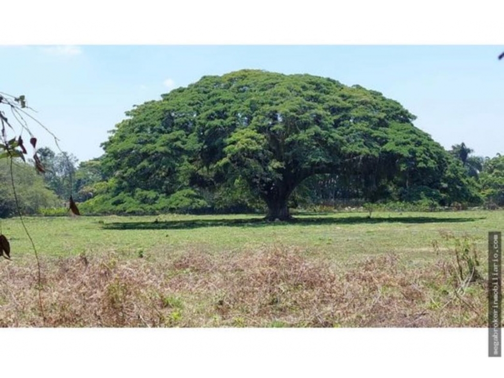 VENDO, LOTE, La viga, Pance, Sur, Valle, Cali