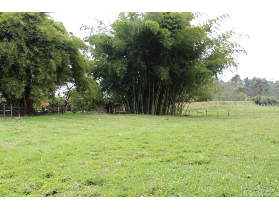 VENDO LOTE MIXTO EN RIONEGRO ANTIOQUIA