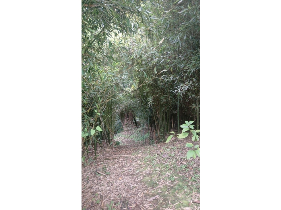 VENDO LOTE ONDULADO FINCA PARA REFORMAR. RETIRO. VISTA A REPRESA — foto 5