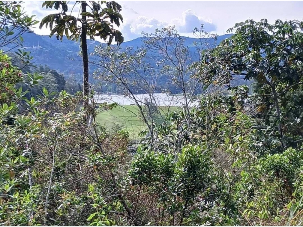 VENDO LOTE ONDULADO FINCA PARA REFORMAR. RETIRO. VISTA A REPRESA — foto 6