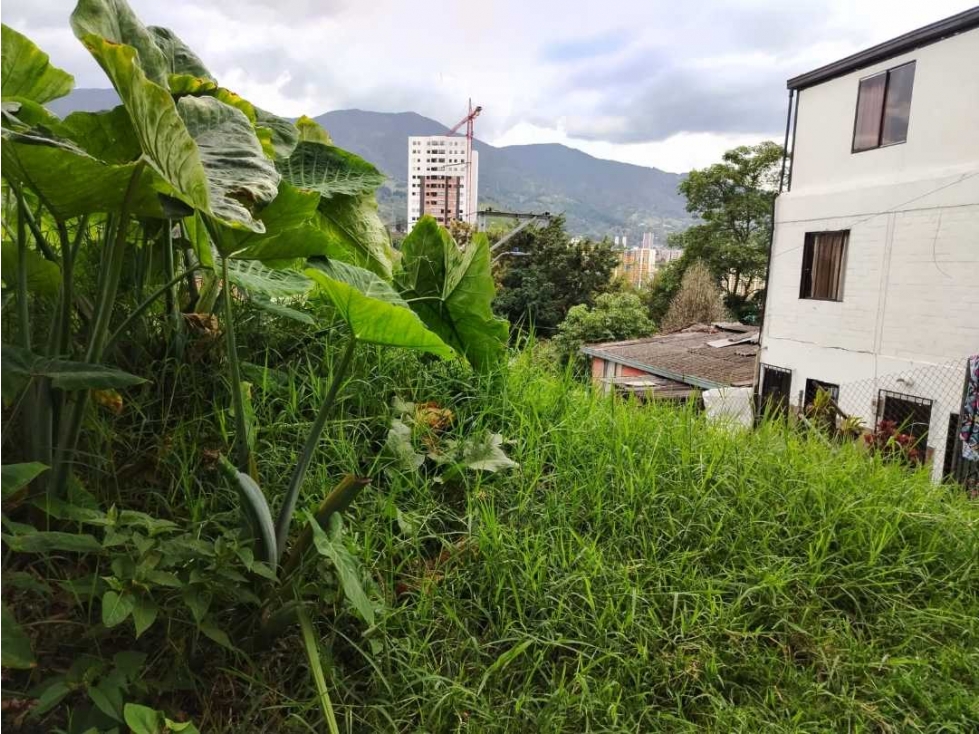 VENDO LOTE PARA CONSTRIUR EN SABANETA PAN DE AZUCAR — foto 3