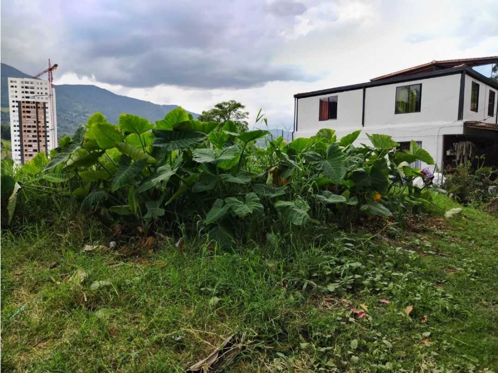 VENDO LOTE PARA CONSTRIUR EN SABANETA PAN DE AZUCAR — foto 4