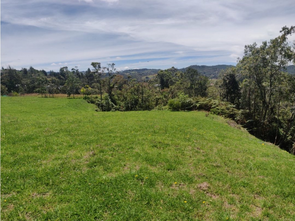 VENDO LOTE. PARCELACIÓN. INGRESO PALMAS Y ESCOBERO. — foto 2