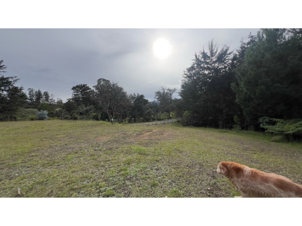 VENDO LOTE PLANO EN EL RETIRO CERCA DE MONTESERNO PANTANILLO — foto 5