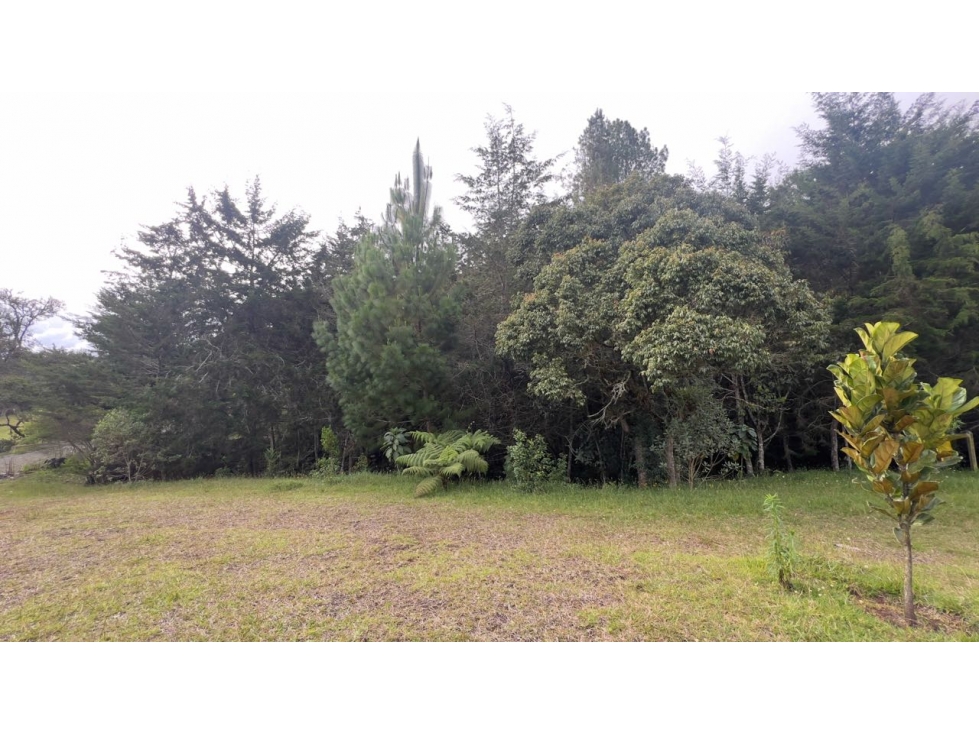 VENDO LOTE PLANO EN EL RETIRO CERCA DE MONTESERNO PANTANILLO — foto 6