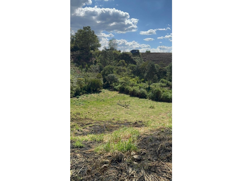 VENDO LOTE PLANO RURAL CON DOBLE INGRESO EN LA VIA AL HUILA — foto 2