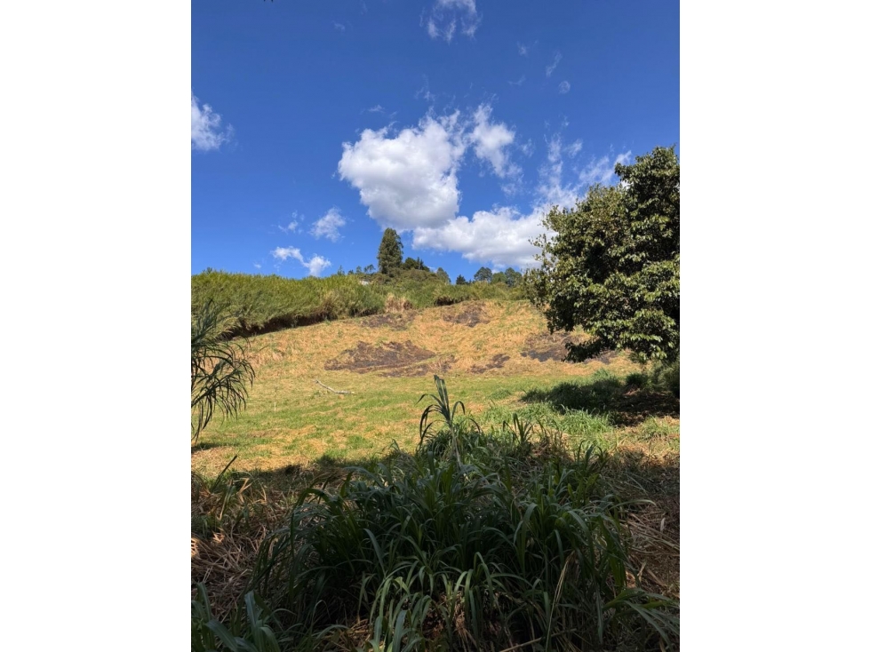 VENDO LOTE PLANO RURAL CON DOBLE INGRESO EN LA VIA AL HUILA — foto 3