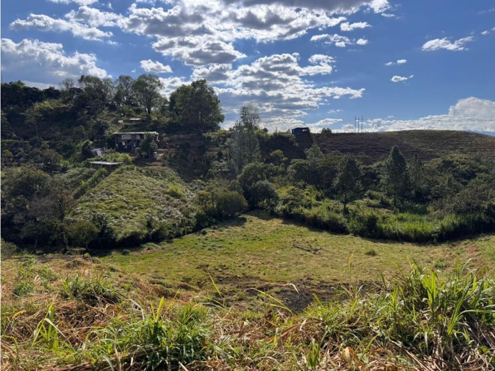VENDO LOTE PLANO RURAL CON DOBLE INGRESO EN LA VIA AL HUILA — foto 4