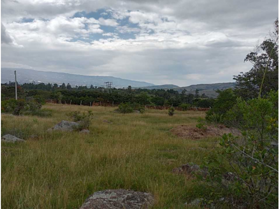 VENDO LOTE PLANO - VILLA DE LEYVA - SALTO Y LAVANDERA - 5