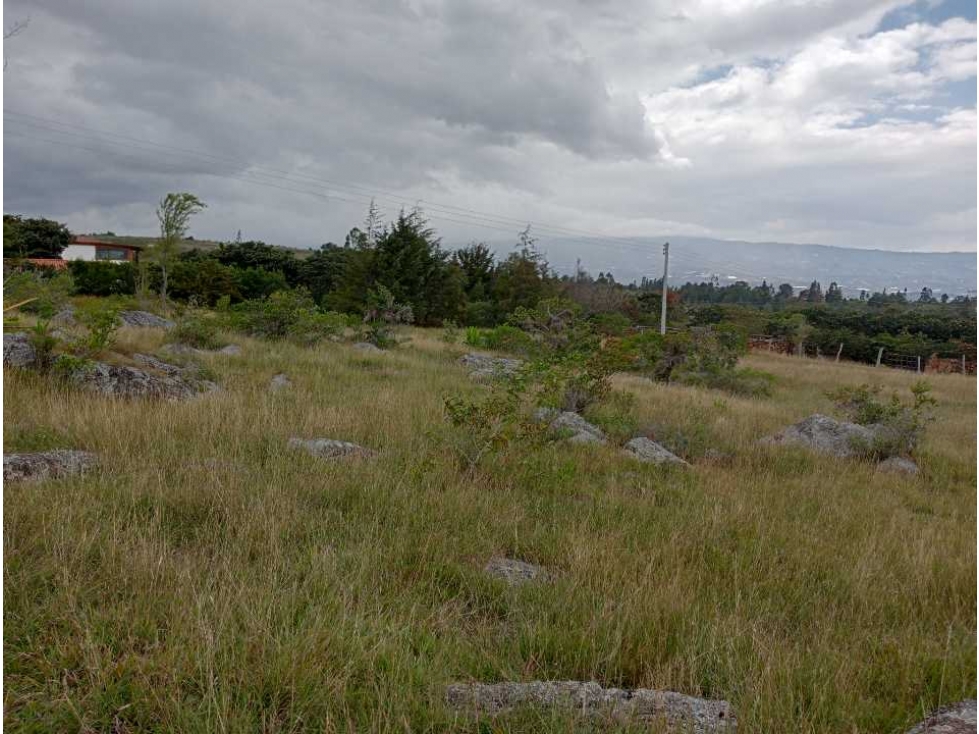 VENDO LOTE PLANO - VILLA DE LEYVA - SALTO Y LAVANDERA - 6
