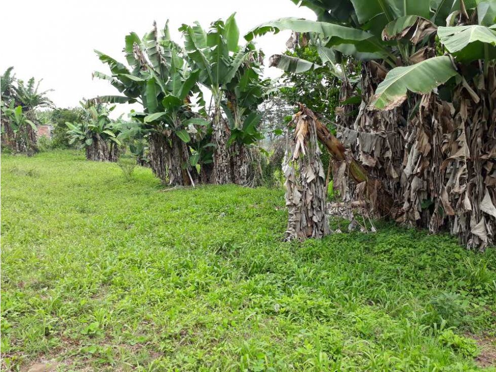 Vendo lote pueblo tapao
