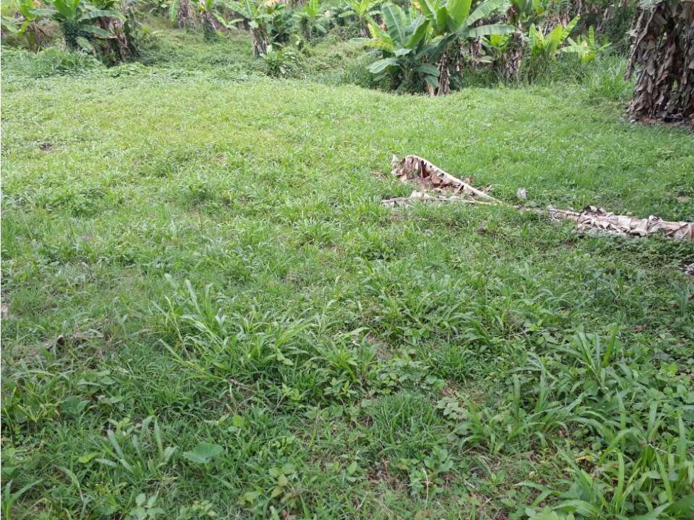Vendo lote pueblo tapao — foto 2