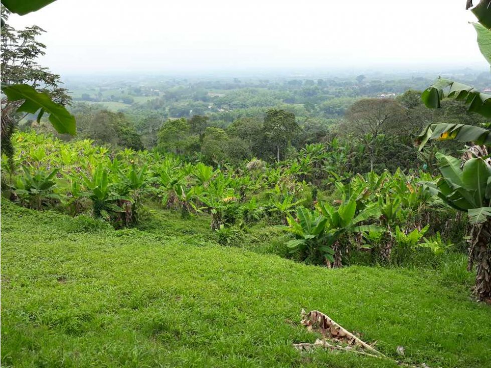 Vendo lote pueblo tapao — foto 3