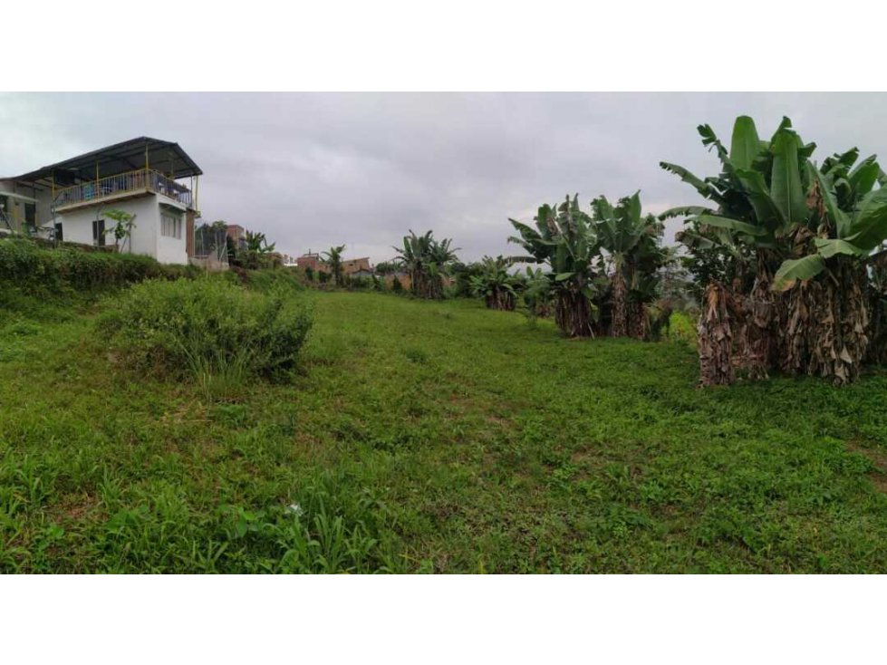 Vendo lote pueblo tapao — foto 4