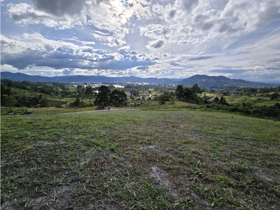 vendo Lote Reserva Silvestre, La Ceja, sector El Yarumo (Antioquía)