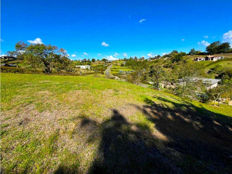 Vendo lote San Antonio de Pereira 2738 Mtrs$780 — foto 3