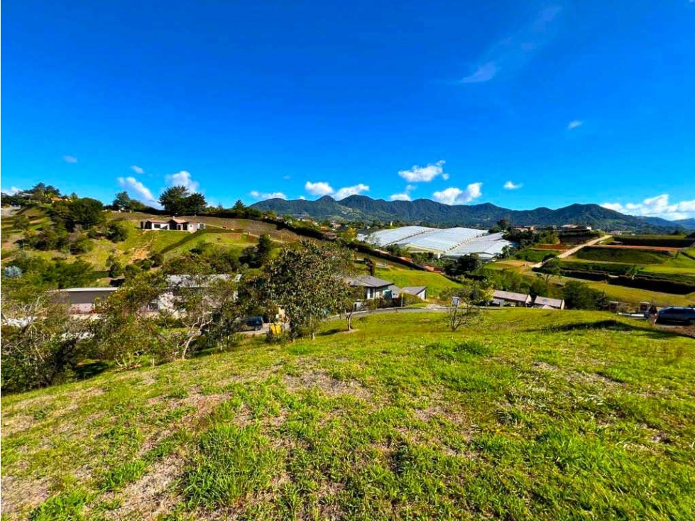 Vendo lote San Antonio de Pereira 2738 Mtrs$780 — foto 5